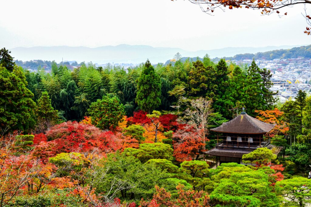 京都の紅葉