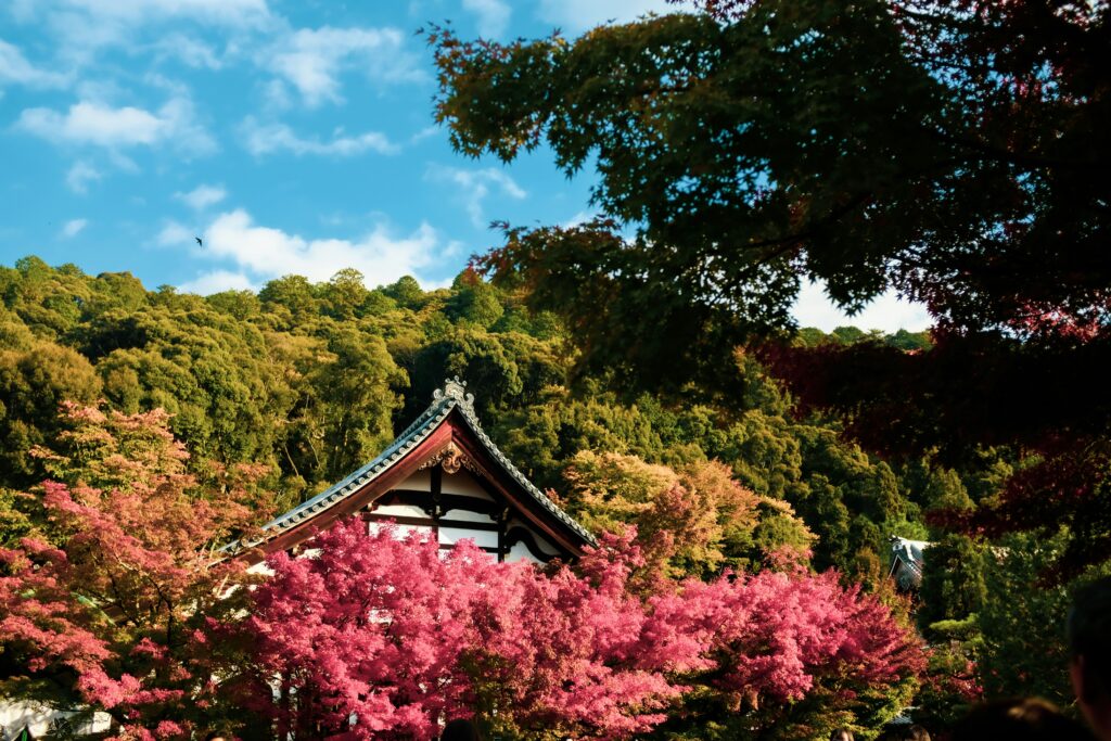 京都のお寺の紅葉