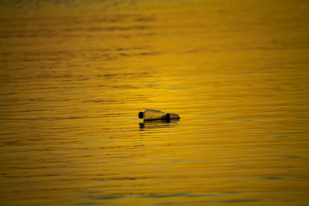水辺に浮かぶ空のペットボトル